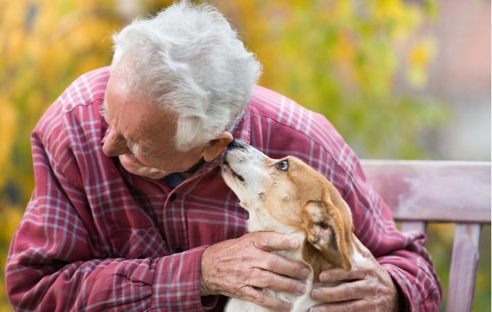 A senior man holding a dog while it licks his ear, using it as pet therapy