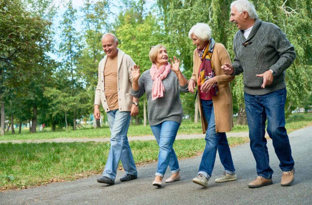 A group of senior smiling and talking, wearing knitted sweaters while walking in a national park